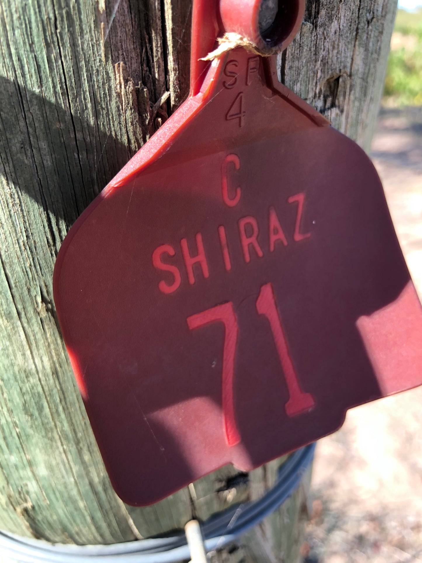 CLARE VALLEY SHIRAZ