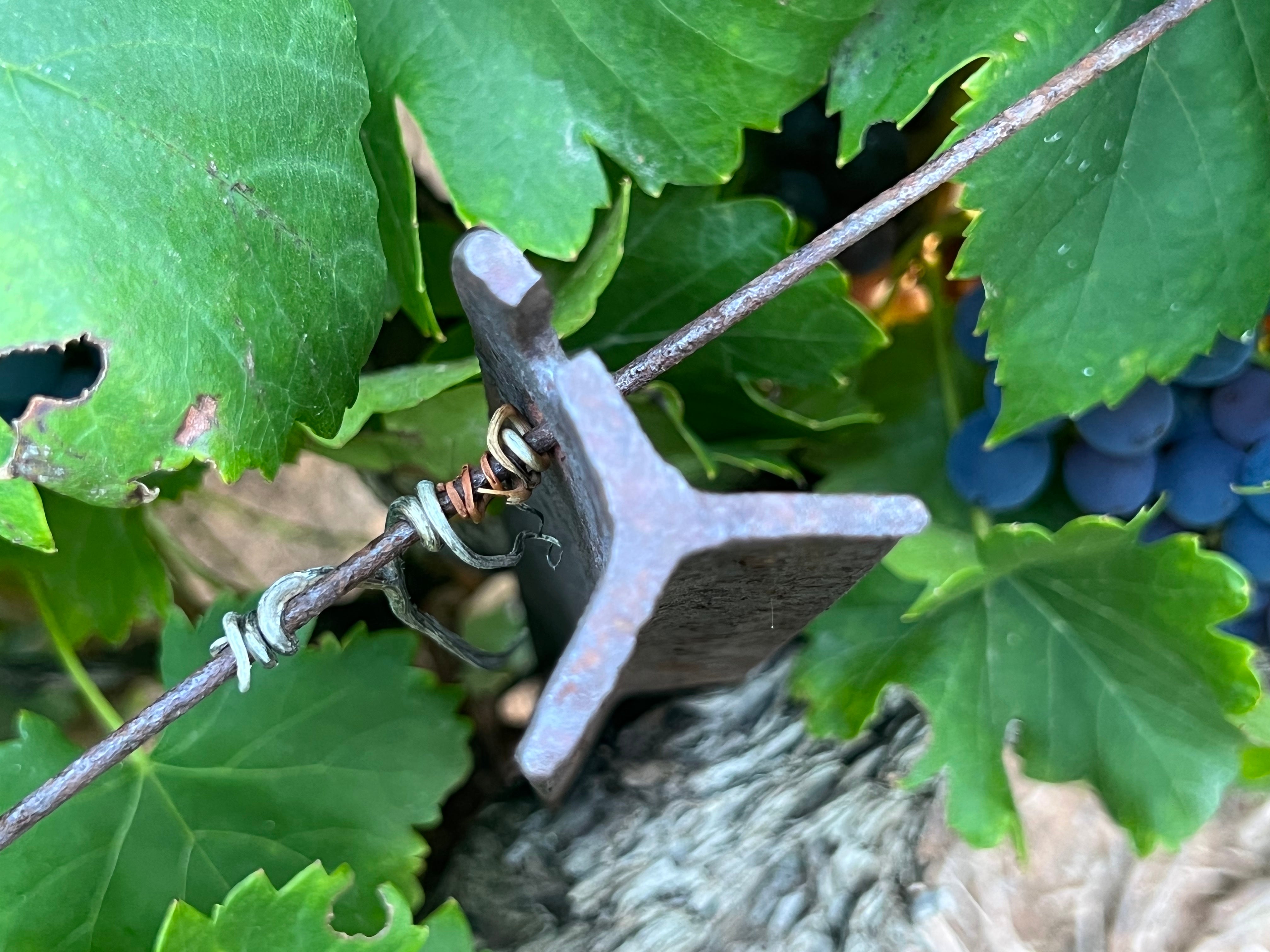 CLARE VALLEY GSM – Atlas Wines